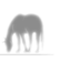 zero trick pony . com