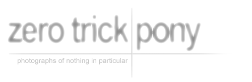 zero trick pony . com