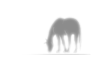 zero trick pony . com